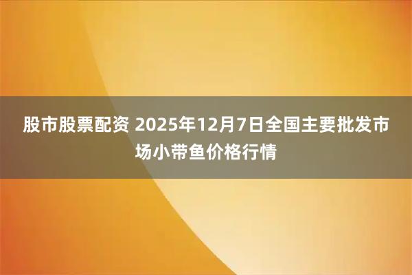 股市股票配资 2025年12月7日全国主要批发市场小带鱼价格行情